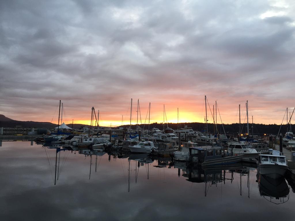 Haida Way Motor Inn Port McNeill Eksteriør billede